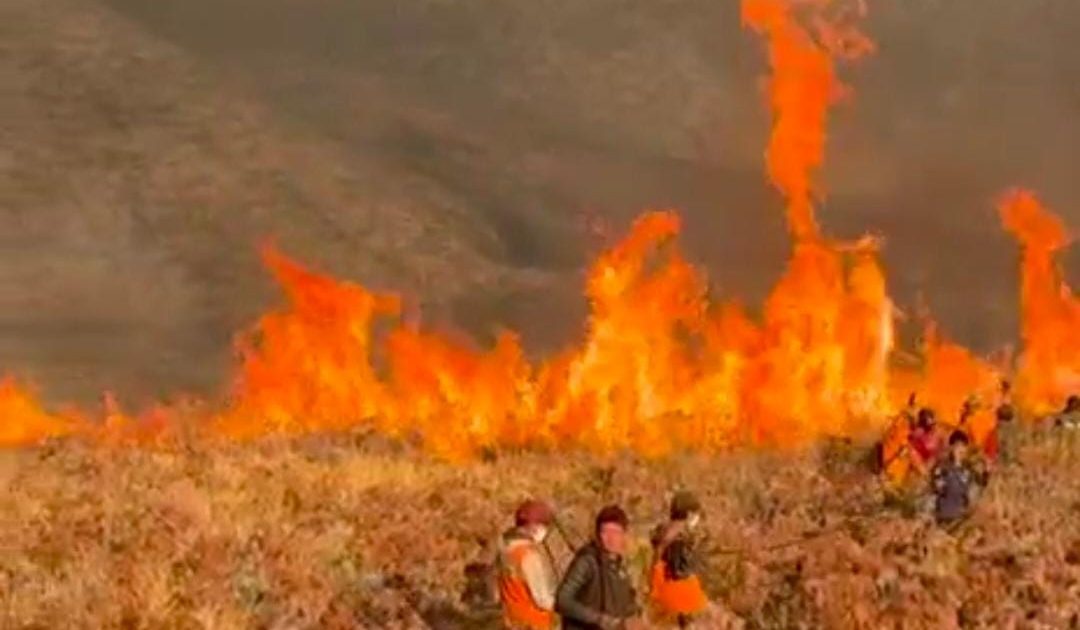 Bromo: Antara Bara, Data dan Manusia  Menelisik Kebakaran 2026 dari Data, Manusia, dan Edukasi Publik